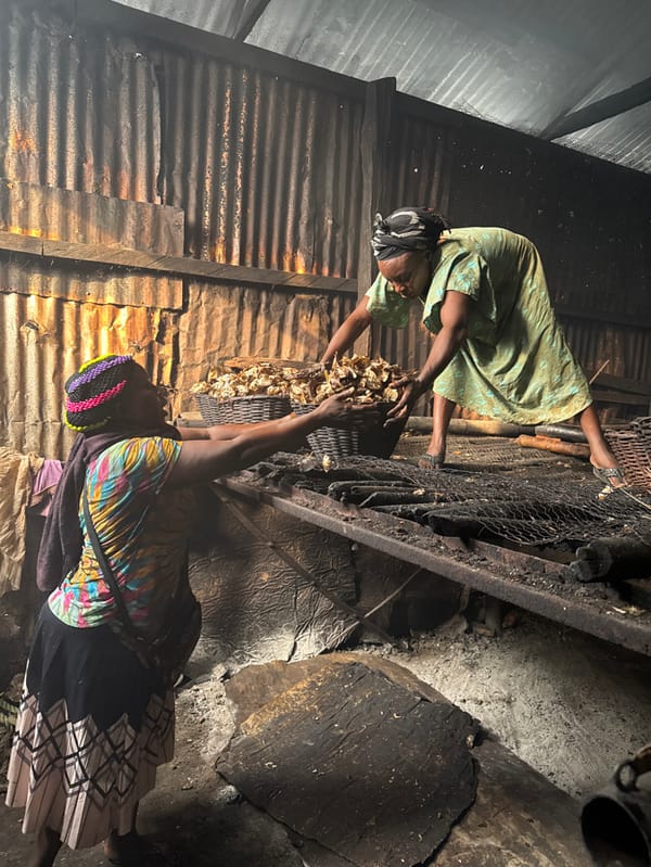 Women process dried fish at Cameroon smoking facilities