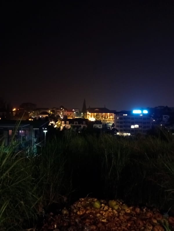 Waste pile documented in Da Lat residential area