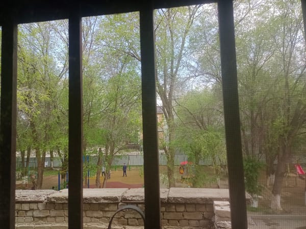 Indoor scenes captured in Aktobe showing courtyard view, tiger artwork