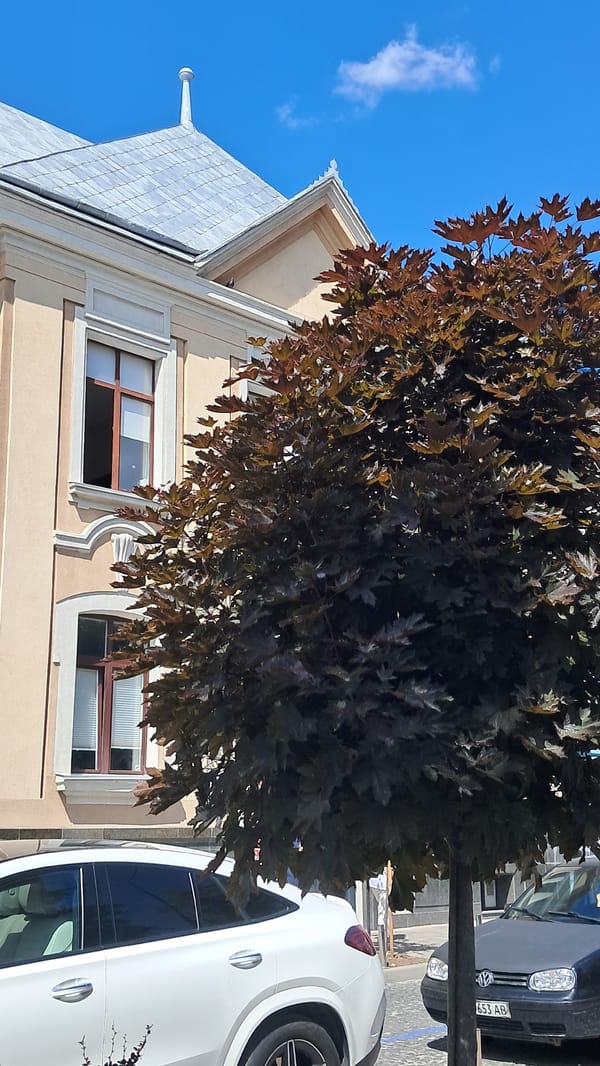 A summer afternoon walk through central Ternopil's streets and squares.
