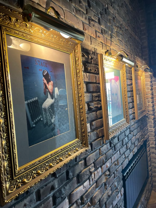 Woman visits cafe in Krasnoyarsk, takes selfie near artwork