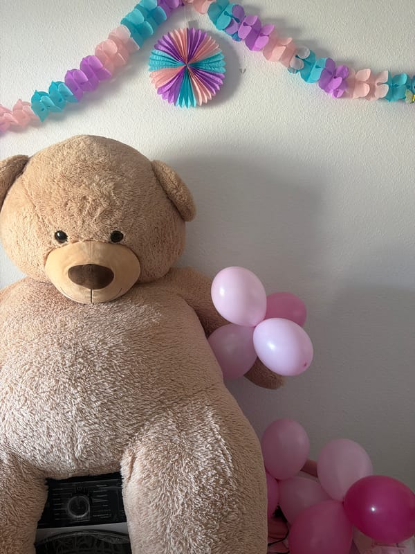 Teddy bear with pink balloons spotted in Frankfurt