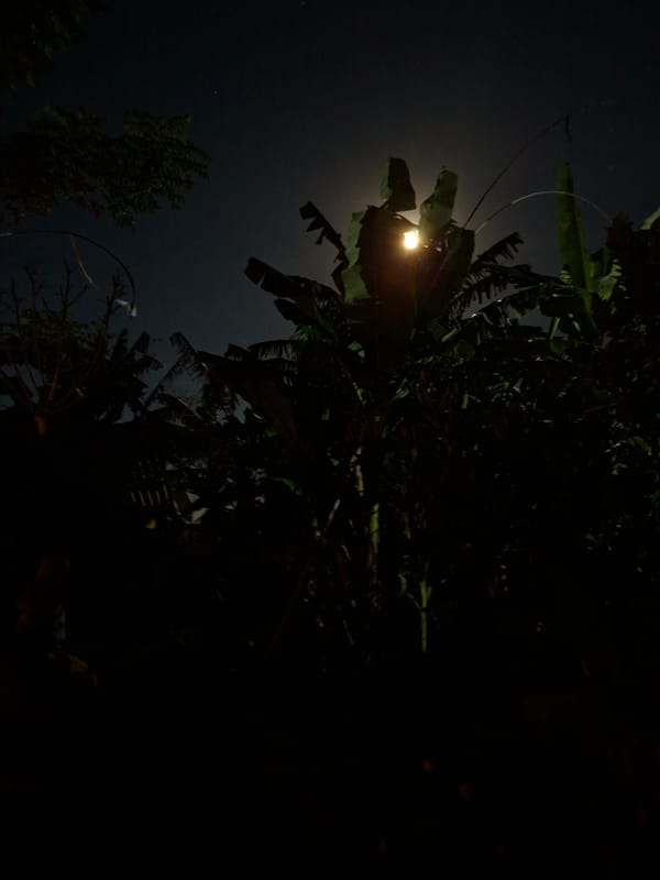 Nighttime residential scene captured in Ubud District, Indonesia