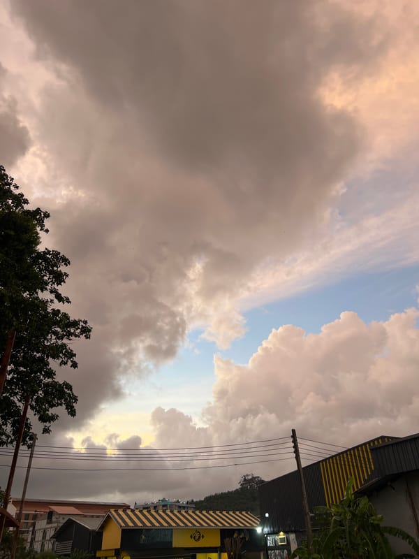 Evening walk with a Golden Retriever in Chalong, Thailand