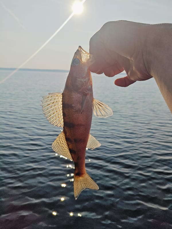 Afternoon fishing on the water in Stepanovo, Russia