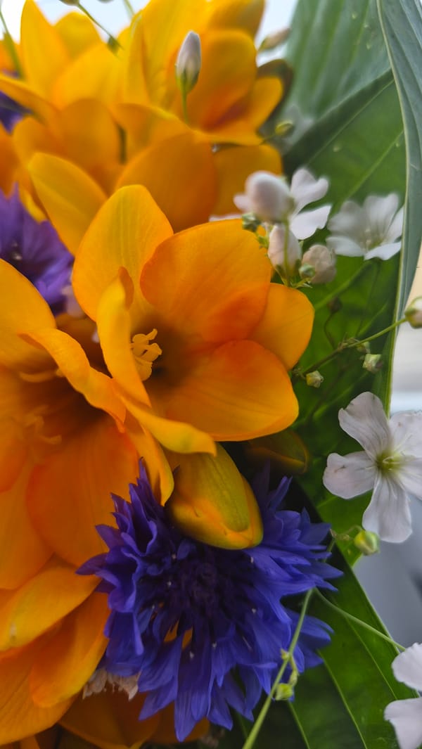 Colorful wildflower bouquet resting on a car hood in Daugavpils