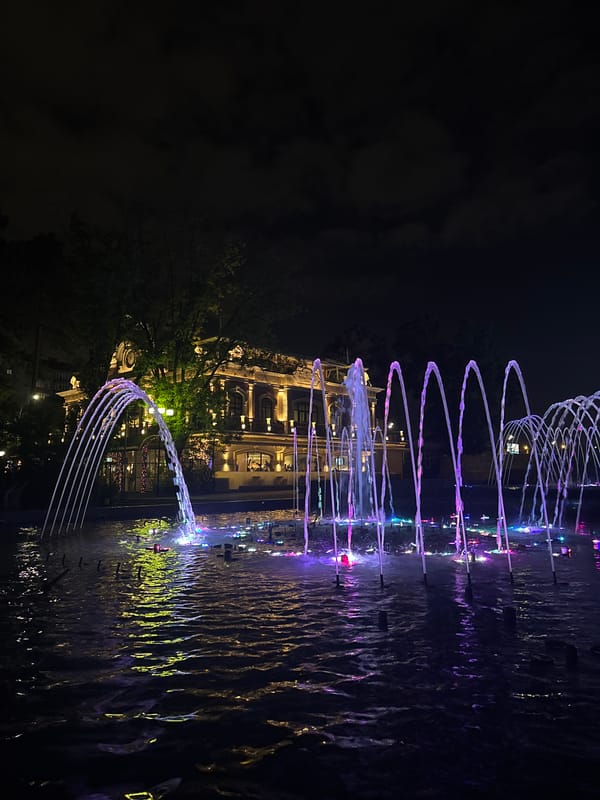 Krasnodar city park at night: fountains, a cat, and a clock