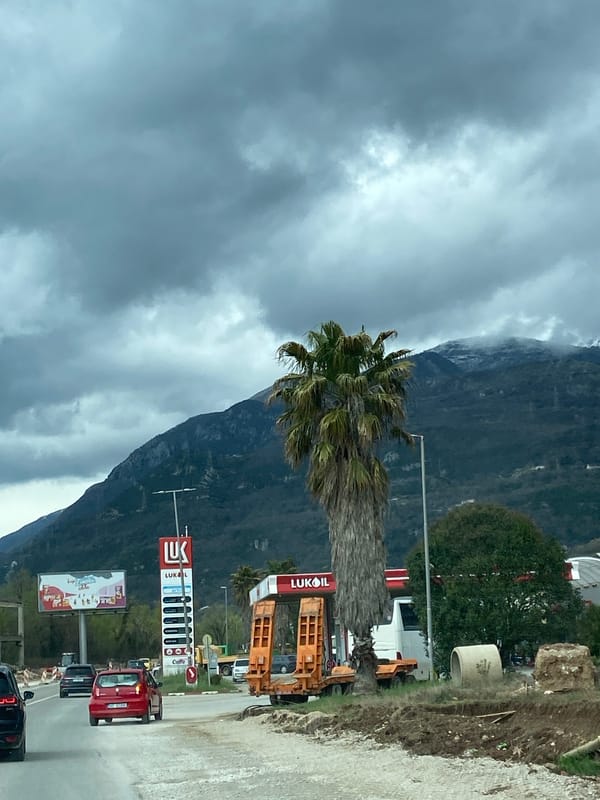 Daily life moments captured across Prijevor, Montenegro