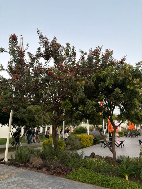 Early morning documentation tour through Queretaro neighborhoods captured