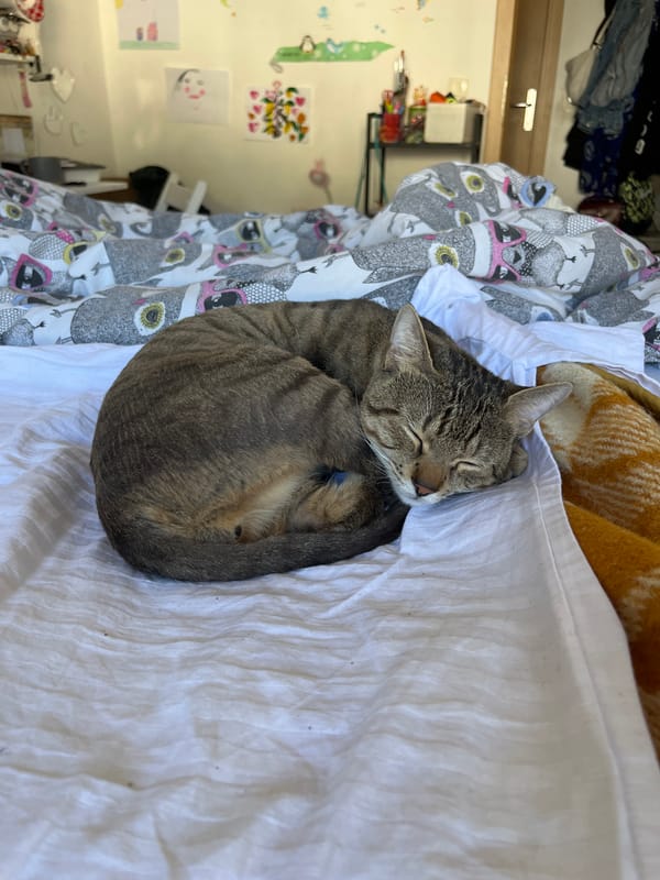 Woman explores record shop and bar in Budva