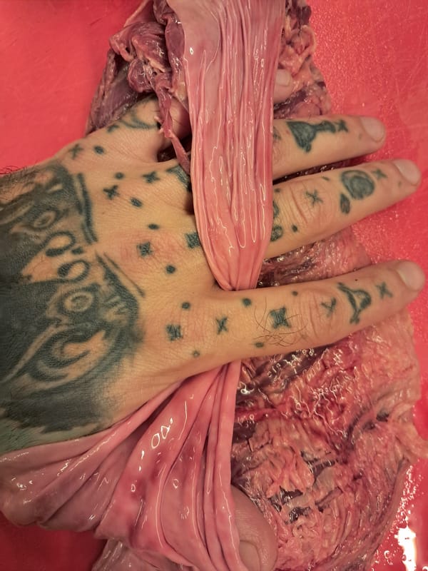 Food preparation session documented in Vicente López