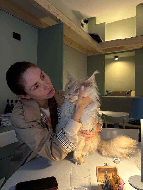 Woman pets fluffy cat on restaurant table in Milan