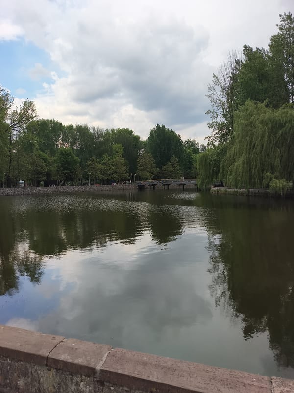 Afternoon lakeside scenes captured in Ternopil, Ukraine