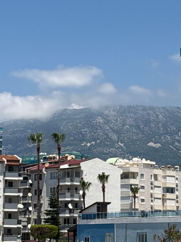Sunny Beach Day and Urban Life Moments Documented