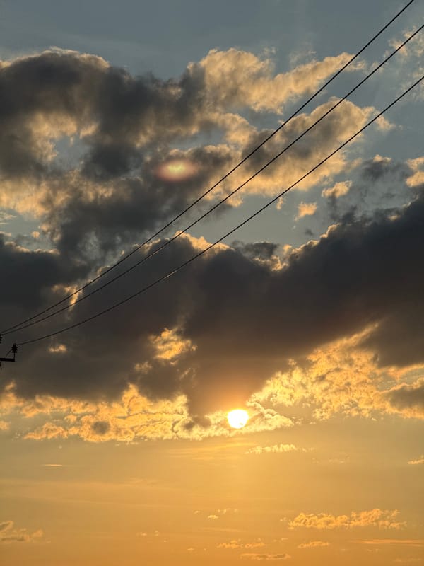 Sunset stroll through wildflowers and new construction in Mikhaylovsk
