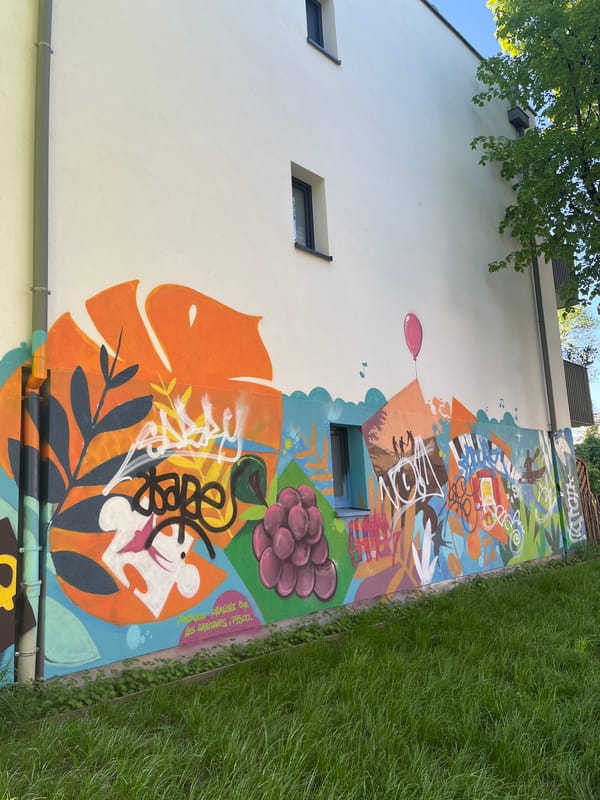 Morning scenes documented along Strasbourg canal and buildings