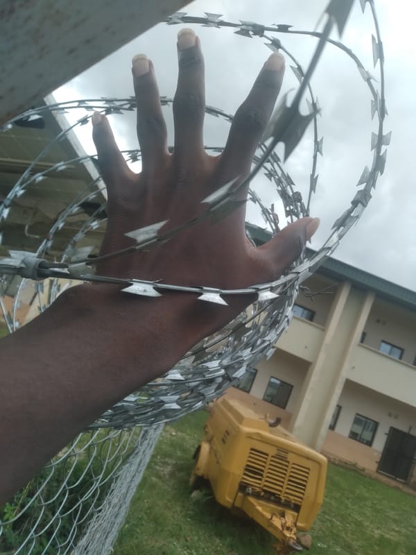 Nigerian neighborhood scenes with nature details and daily life