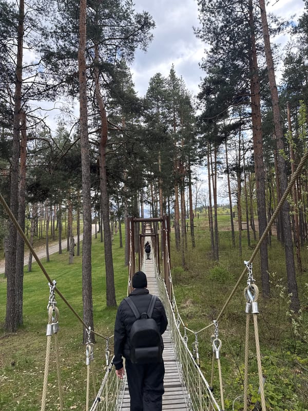 Hiker crosses rope bridge in Bulgarian forest near Belchin