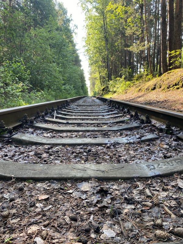 Forest trails, lake views, and pedal carts outside Yekaterinburg