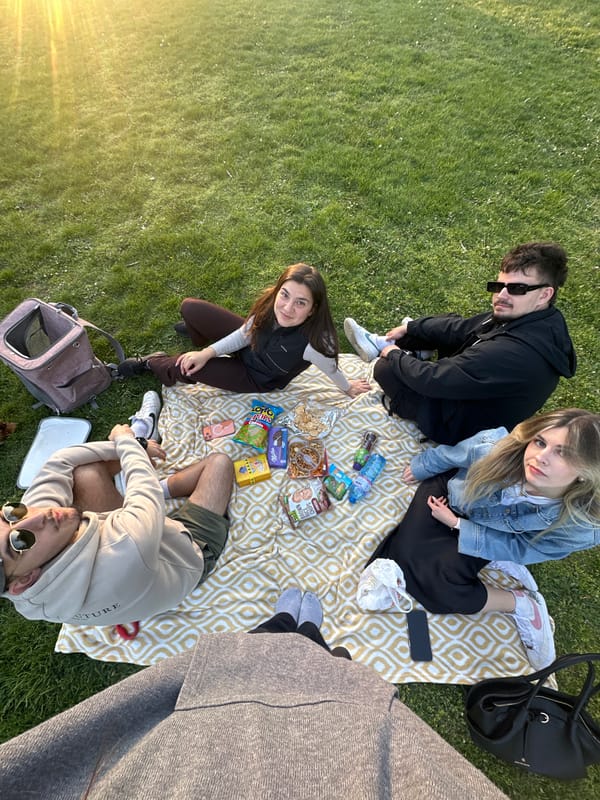 Young adults enjoy golden hour picnic in Sofia park