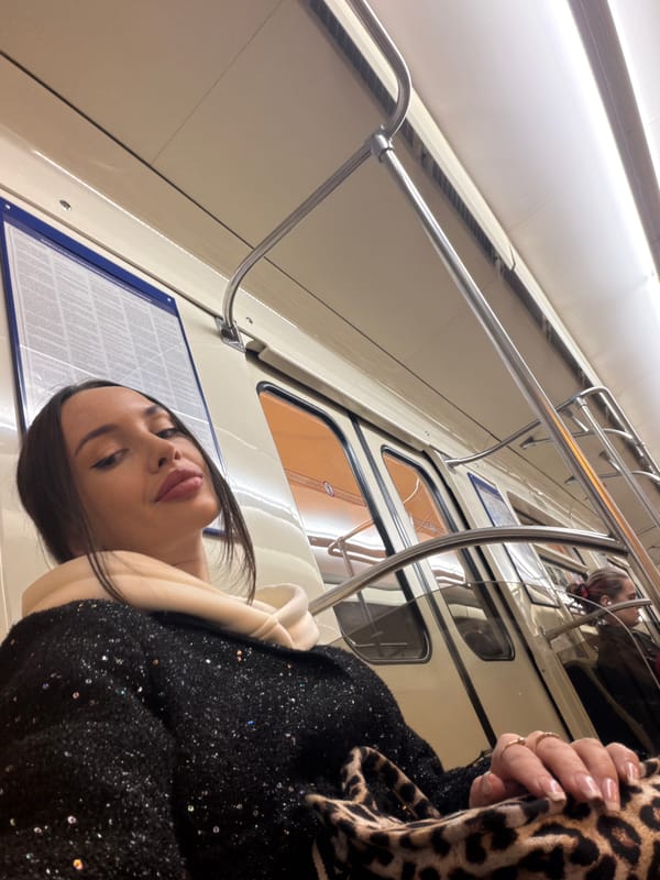 Routine Metro Journey Documented at Saint Petersburg Ulitsa Dybenko Station