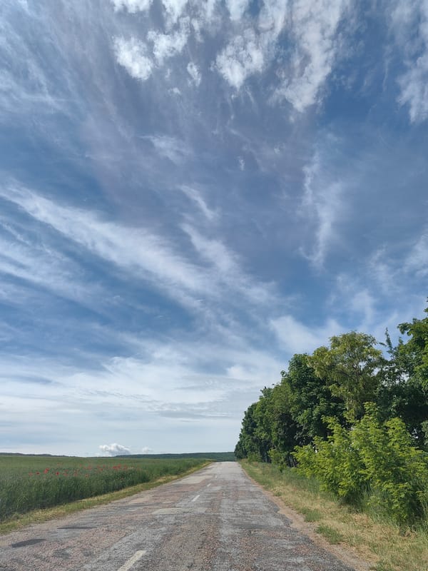 Rural Ukraine morning: cracked roads, blooming poppies, everyday life
