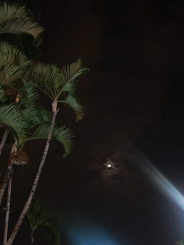 Night scenes and ice cream moments captured in Guayaquil