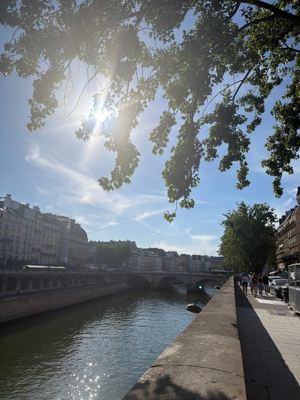 Sunny afternoon along the Seine and Notre Dame, central Paris