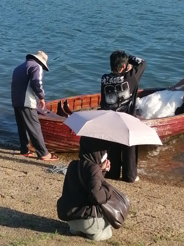 Wedding photoshoot on Xuan Huong Lake, Da Lat