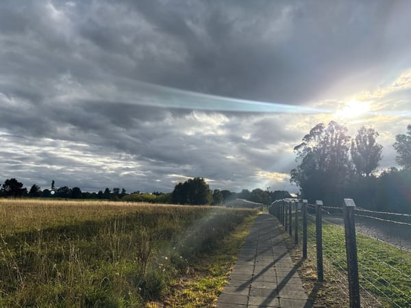 Sunlight breaks through clouds over Purranque countryside pathway