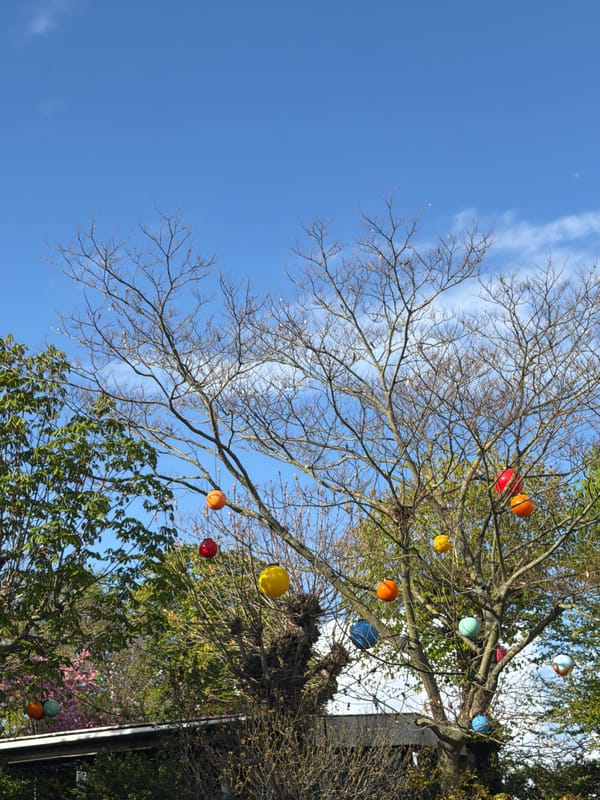 Urban landscape and gardens documented in Suresnes, France