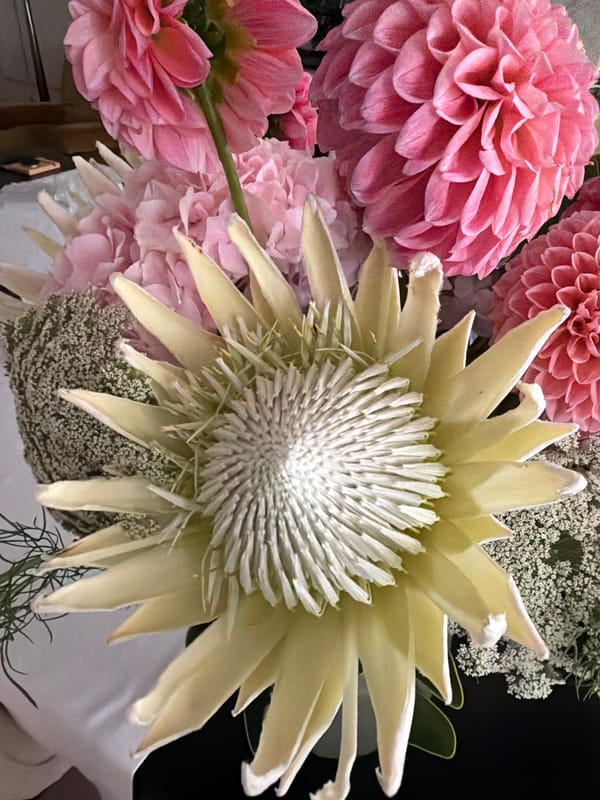 Close-up floral arrangements across five quick shots