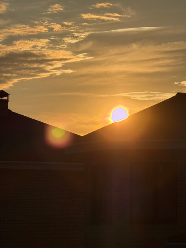 City sunset from the street, paths, and highway overpasses