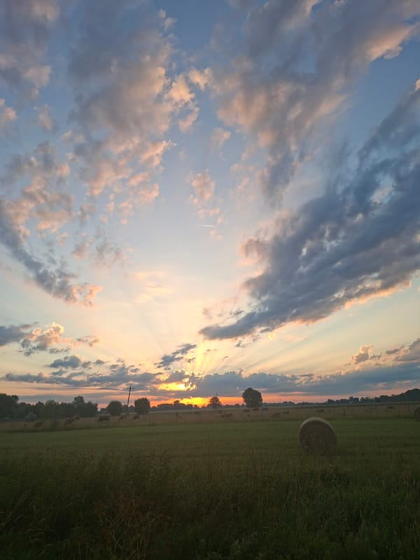 Rural sunset captured from multiple angles along country roads