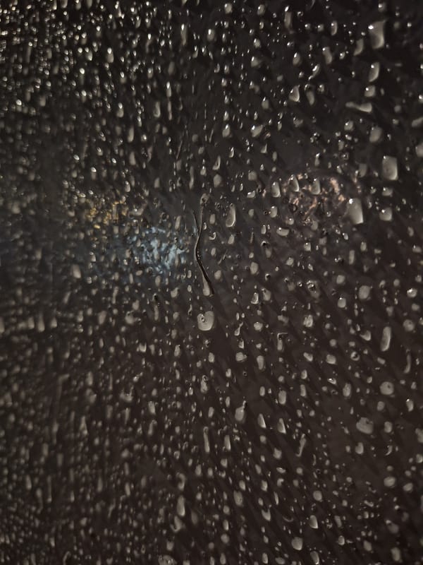 Nighttime observations capture water droplets, trees, illuminated signage