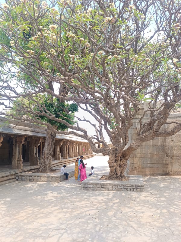 Visitor explores ornate Hindu temple with stone carvings