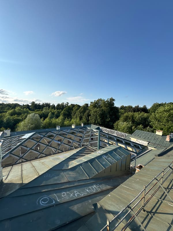 Rooftop views over Peterhof's classical architecture and green canopy