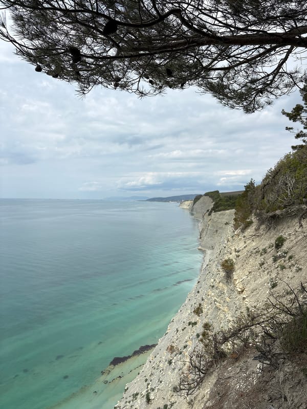 Morning coastal views and small fire documented in Gelendzhik