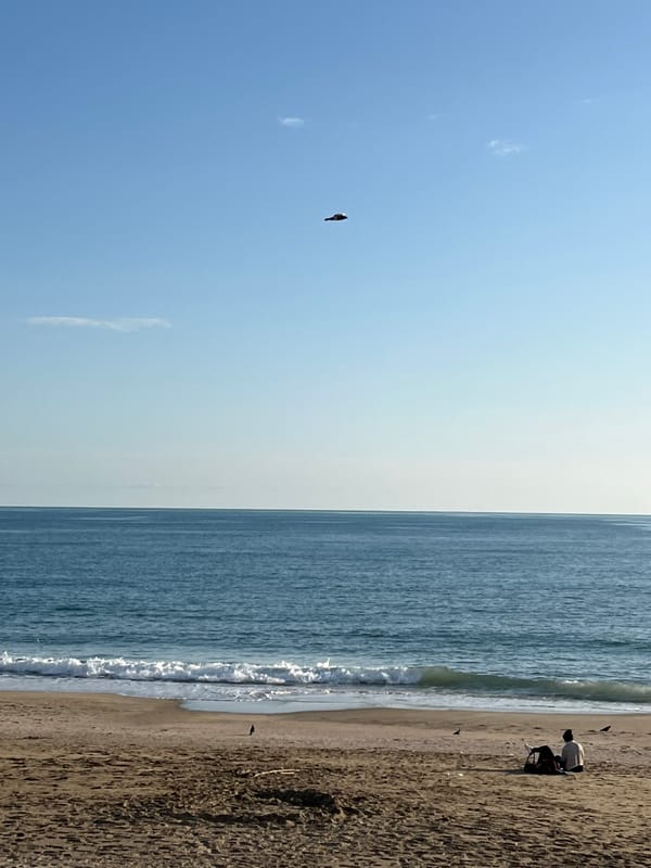 Cat naps on seaside structure in Alanya, Turkey