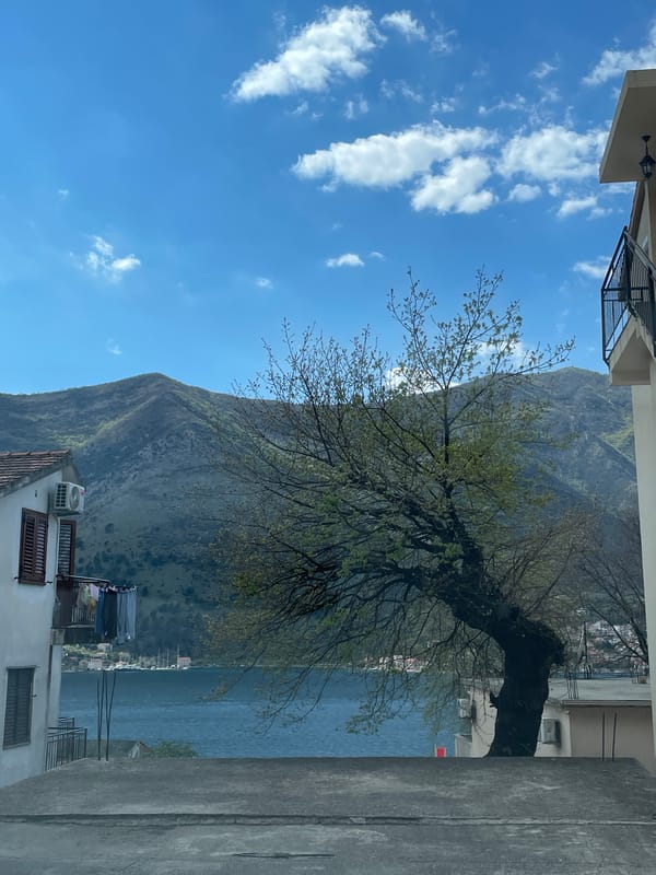 Everyday street scenes captured in Dobrota, Montenegro near Bay of Kotor