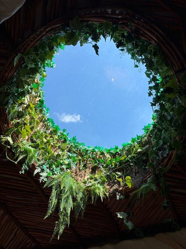 Morning spent inside a hobbit-style fantasy themed venue