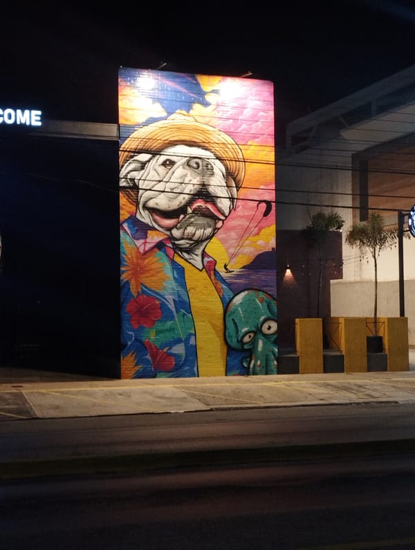 Early morning documentation of shops in Venezuelan town