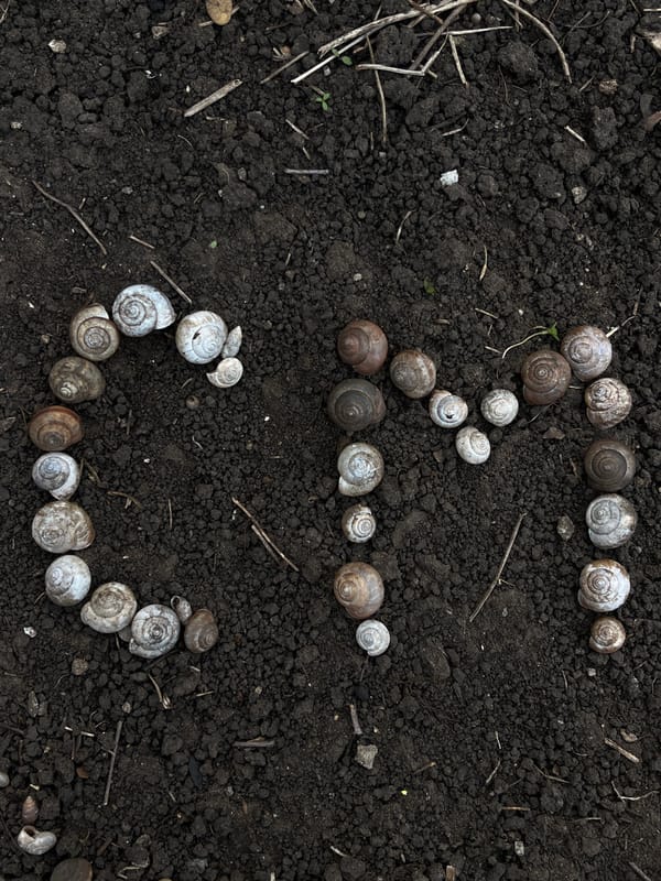 Artist Creates Shell Art Patterns in Russian Soil