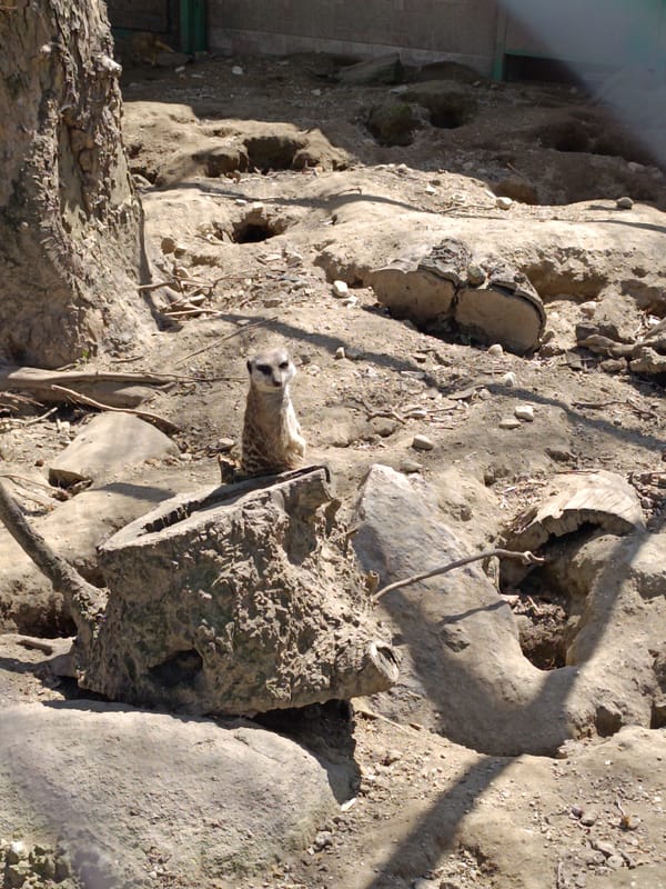 Zoo visitor documents diverse animals in Pazardzhik, Bulgaria