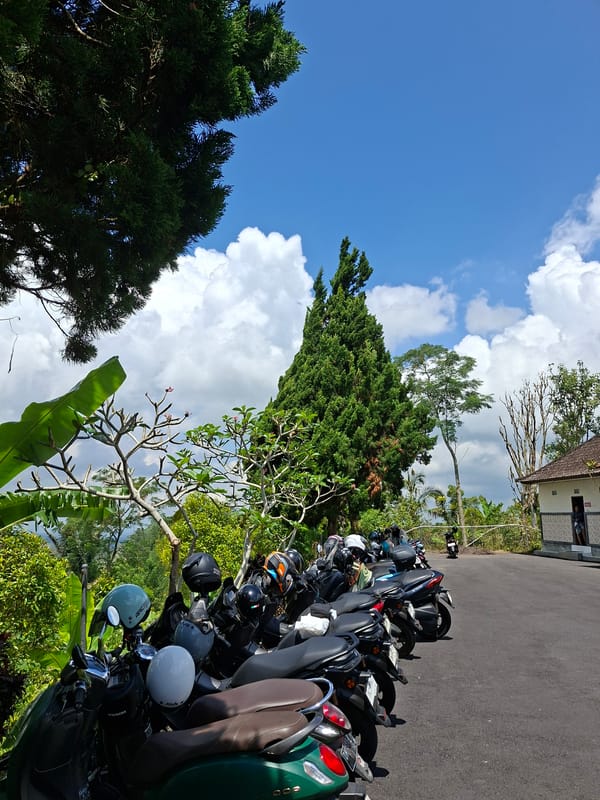 Daily life scenes documented in Petang, Indonesia