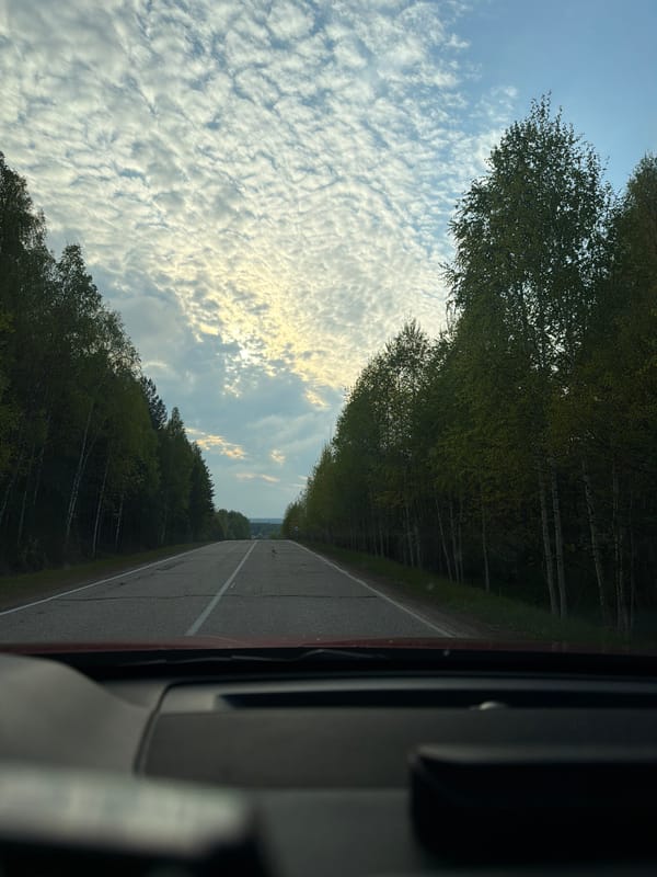 Driver documents tree-lined road in Chaikovsky, Russia