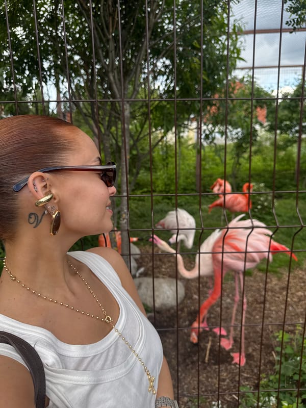 Zoo visitors document diverse animal exhibits at Izhevsk Zoo