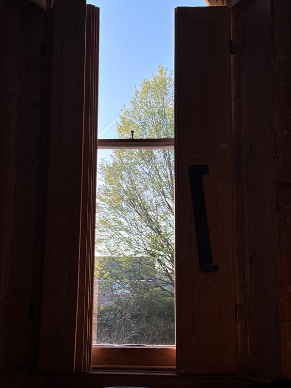 Morning window view captures trees and sky in London