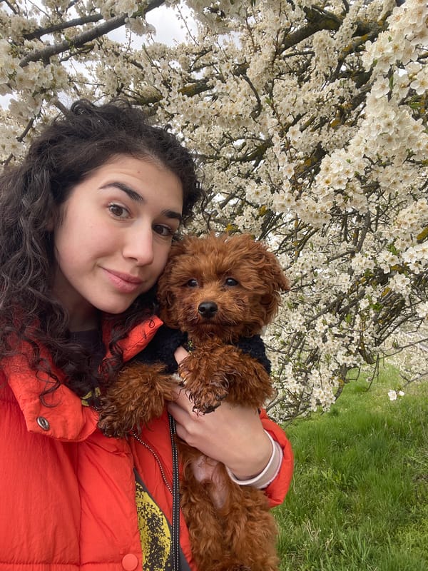 Woman walks poodle puppy through Bulgarian village morning routine