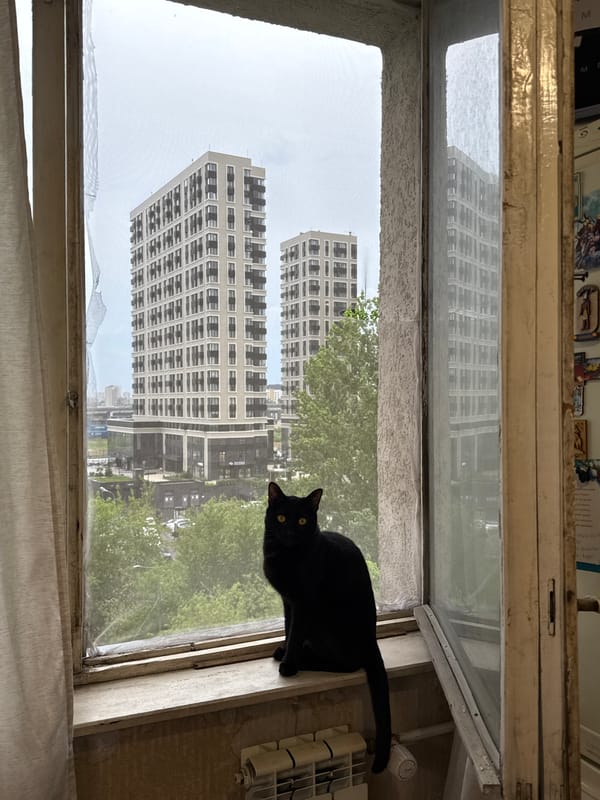Khimki resident shares quiet afternoon moments with Pomeranian dog